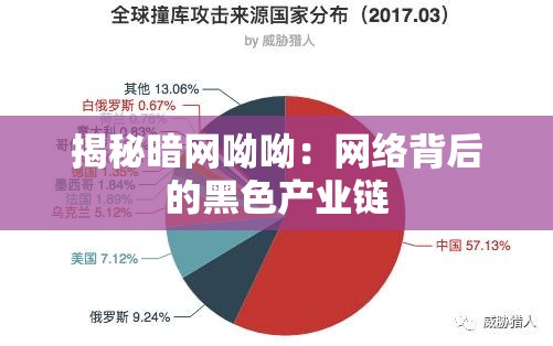 揭秘暗网呦呦：网络背后的黑色产业链