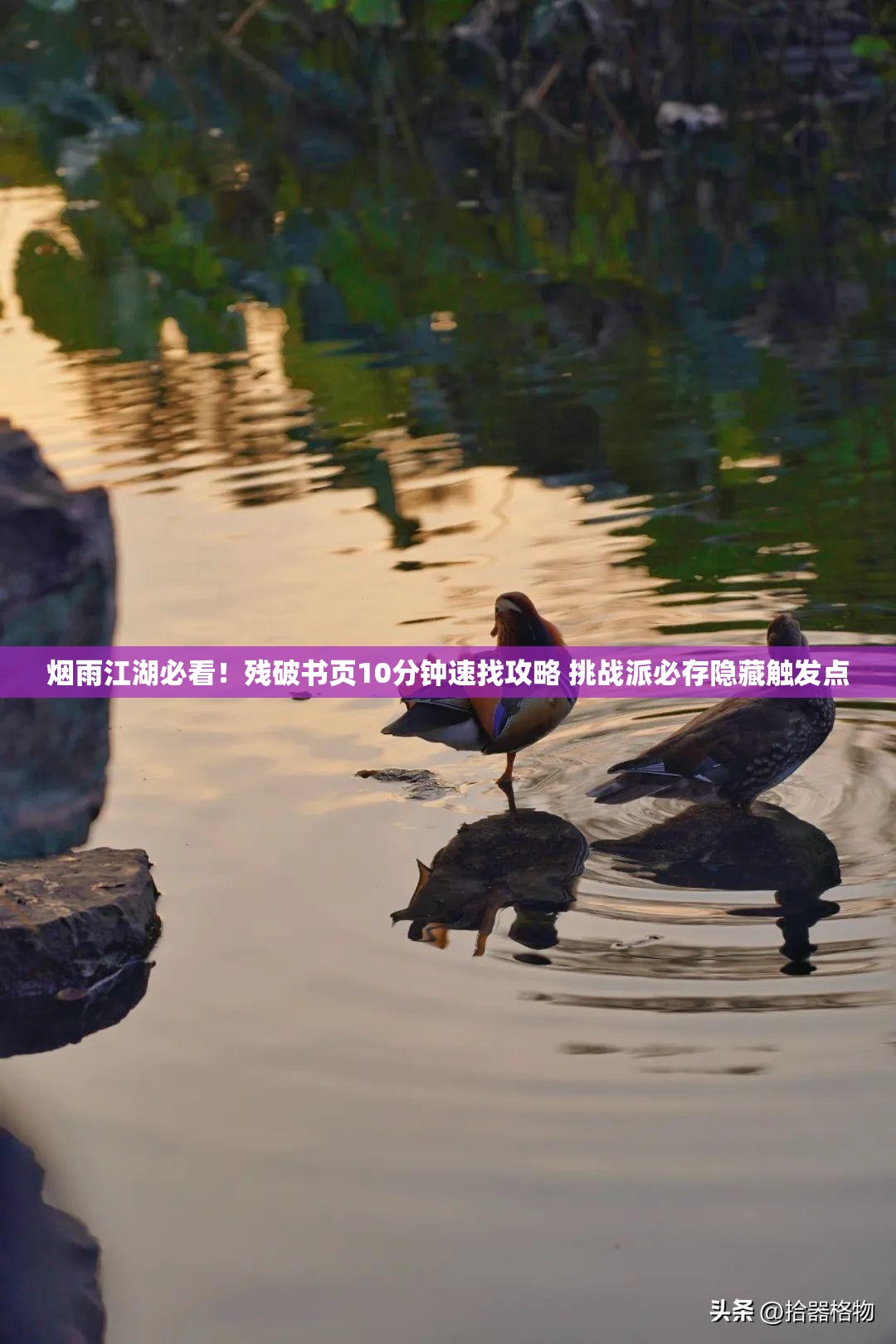烟雨江湖必看！残破书页10分钟速找攻略 挑战派必存隐藏触发点